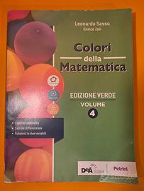 Colori della matematica vl 4