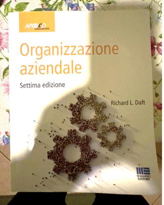 Organizzazione aziendale settima edizione