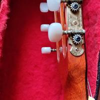 Chitarra