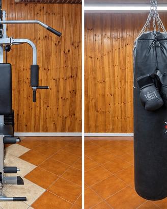 palestra