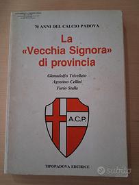 La "Vecchia Signora" di provincia