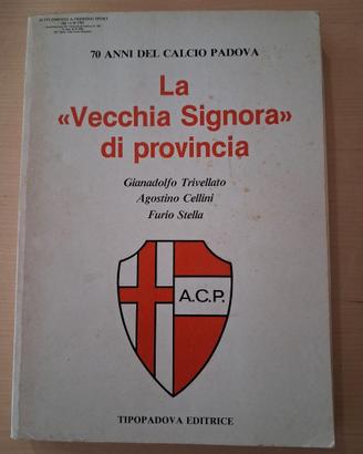 La "Vecchia Signora" di provincia