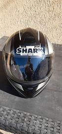 casco Shark