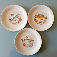 Piatti con pesci Euro Porcelaine import