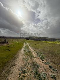 Terreno - Grammichele