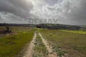 Terreno - Grammichele