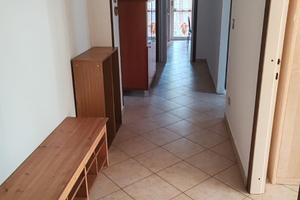 Camere in appartamente per studenti a Pavia