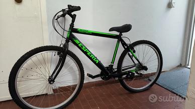 Bicicletta verde