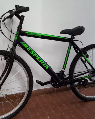 Bicicletta verde