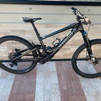 Specialized KENEVO SL
