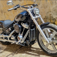 Softail standard