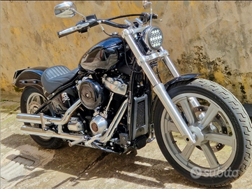 Softail standard