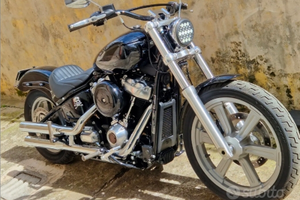 Softail standard