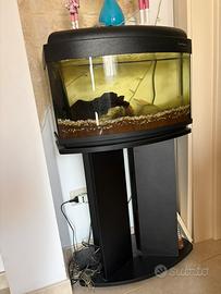 Acquario con mobiletto.