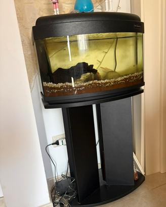 Acquario con mobiletto.