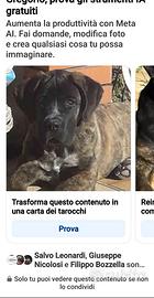 Corso molto socievole a zafferana etnea