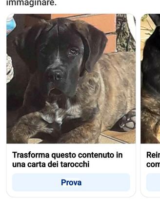 Corso molto socievole a zafferana etnea