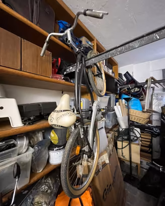 Bicicletta Urban Cruiser – mai usata