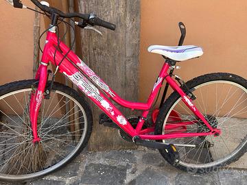 Bicicletta 24