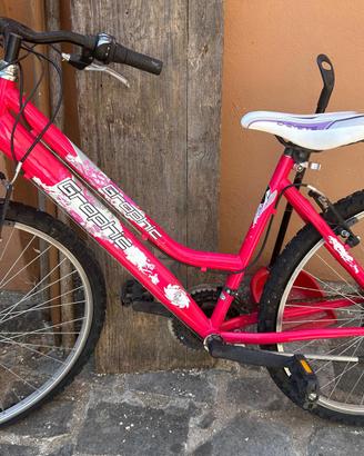 Bicicletta 24