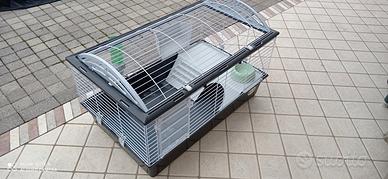 gabbia per conigli nani