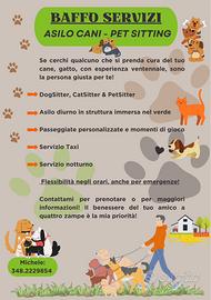 Dog Sitter Pet sitter Asilo Pensione Cani Gatti