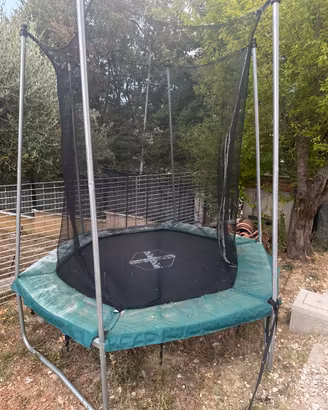 Trampolino elastico con rete di protezione