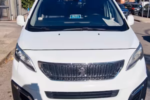 Peugeot traveller