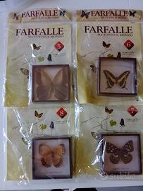 Farfalle da collezione 