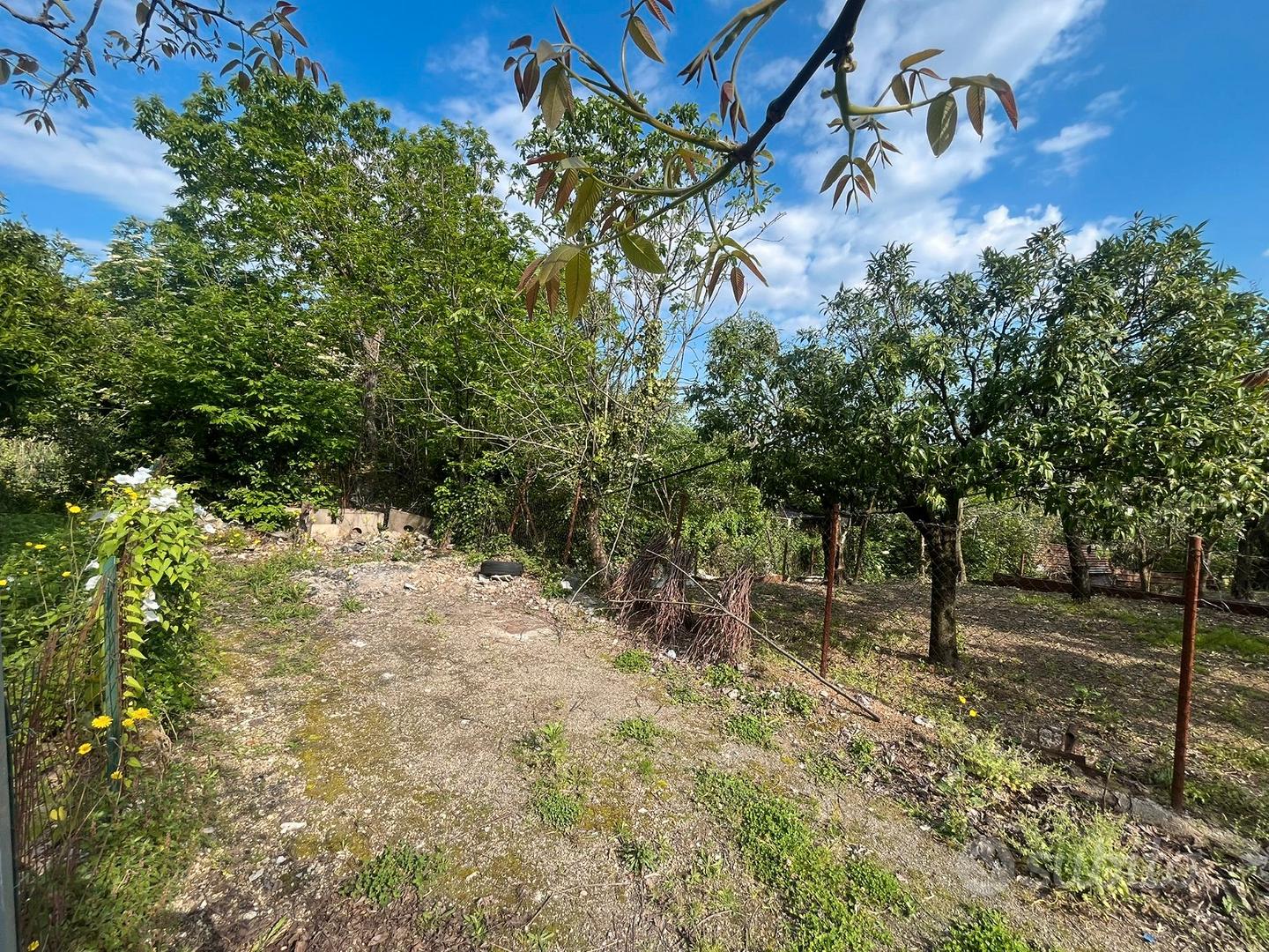 Terreno agricolo - zona montalbino - Altro