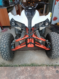 Quad 250 da cross