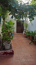 Casetta indipendente Cellole