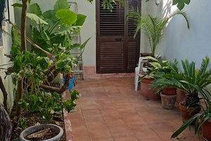 Casetta indipendente Cellole