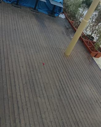 Pedana da esterno