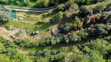 TER. RESIDENZIALE A TREMOSINE