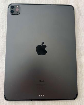 APPLE iPad 11 pro