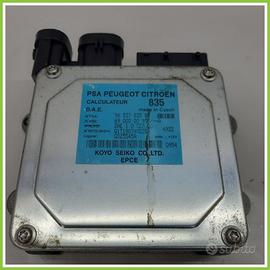 Centralina Sterzo KOYO 6900000555/A CITROEN C3 1a 