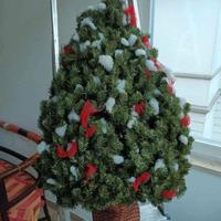 Albero di Natale che si appene