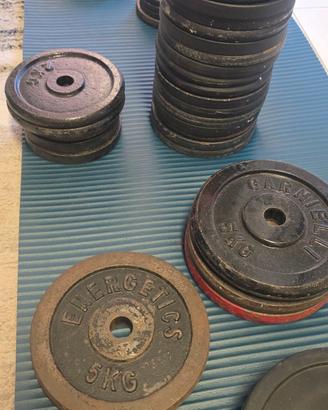 PESI PALESTRA