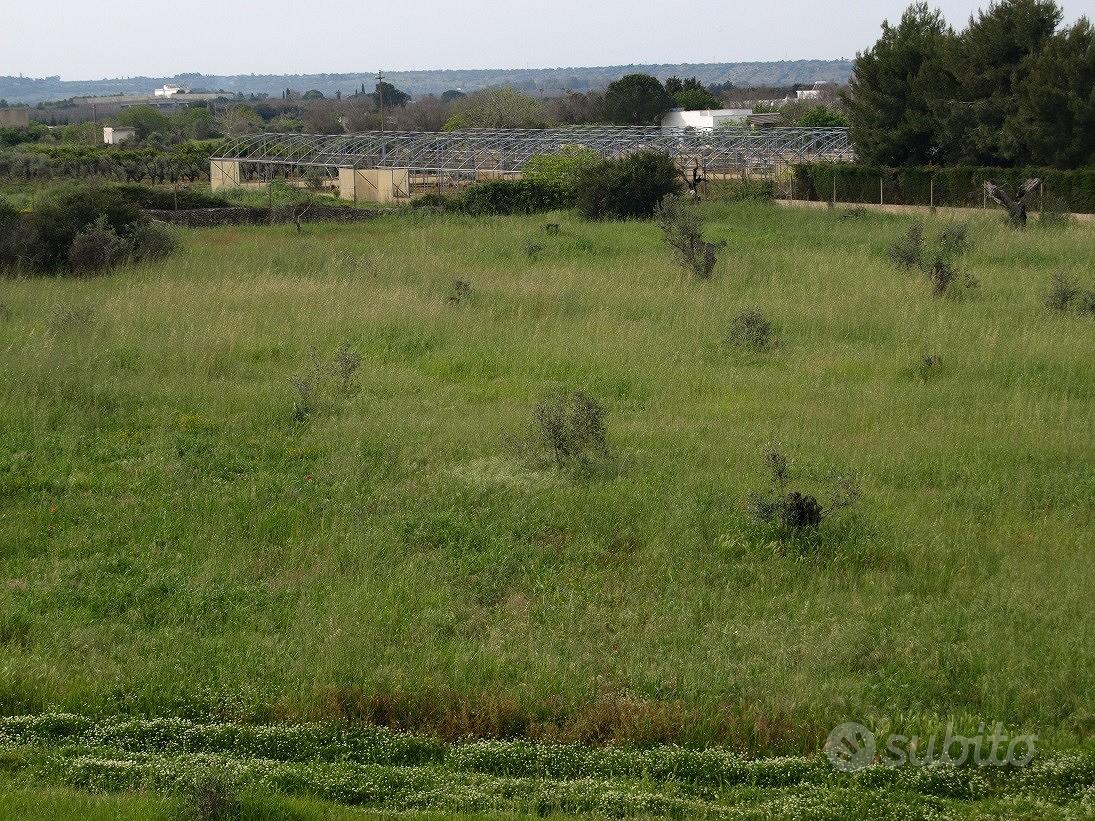 Agro di Gallipoli terreno 22000 Mq - Vista 6