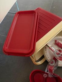 Borsa frigo, tovaglie carta, posate, ciotola