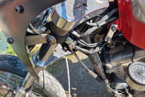 cupolino club stile harley 