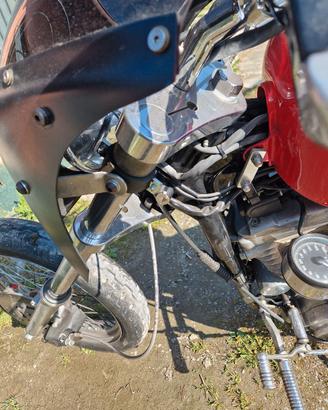 cupolino club stile harley 