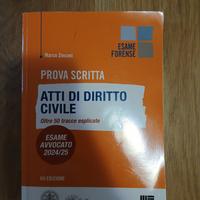 Atti diritto civile