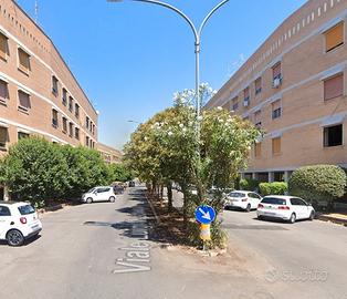 Eur torrino stanza ad uso singolo