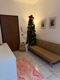 Camera per Studentesse 250