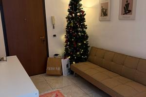 Camera per Studentesse 250