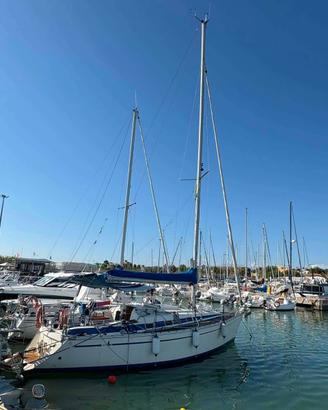 Nauti