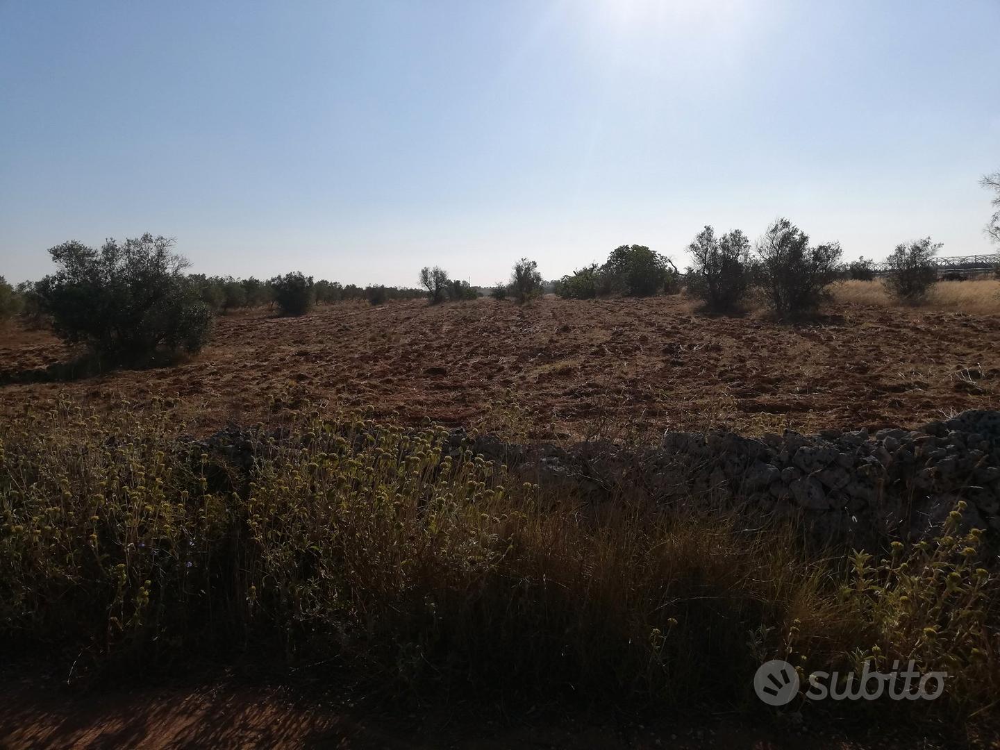 Terreno agricolo - Vista 3