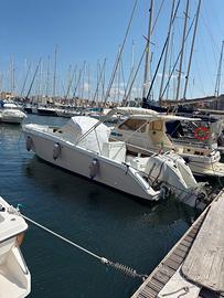 Coppia etec 225cv controrotanti
